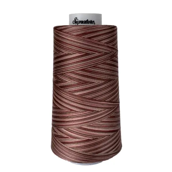 M80 Dusty Mauves Signature Cotton Variegated Thread {1}