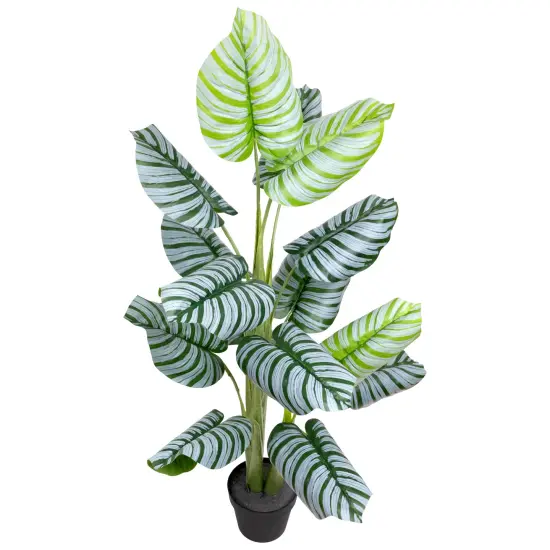 Northlight Potted Two Tone Green Calathea Artificial Floor Plant - 4' {5}