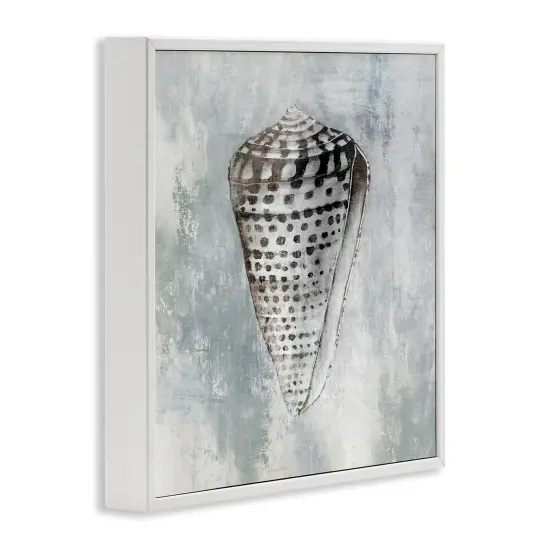 Stupell Industries Organic Cowrie Shell Framed Giclee Wall Art Design by Eli Jones {3}
