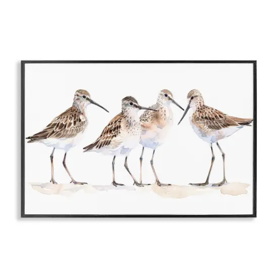 Stupell Industries Sand Pipers Gathered Framed Giclee Wall Art Design by Petal Prints Design {7}