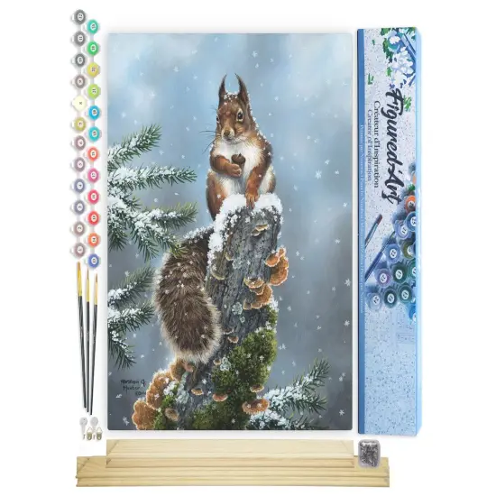 Figured'Art Paint by Numbers Kit for Adults Perched Squirrel 16"x20" - Craft Art Painting Rolled Canvas with DIY wooden frame {1}