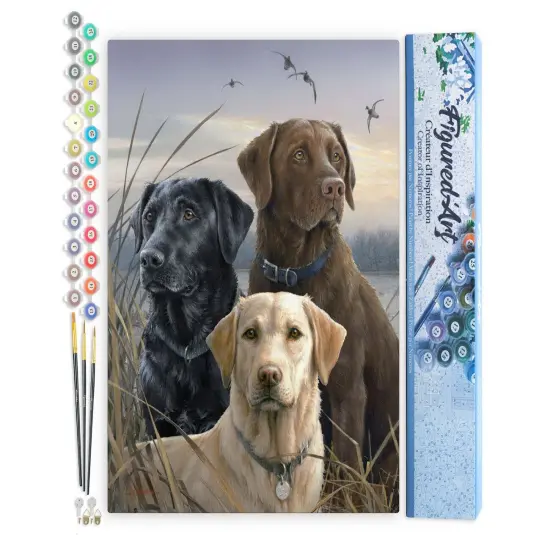 Figured'Art Paint by Numbers Kit for Adults Labrador Trio 16"x20" - Craft Art Painting DIY Kit Rolled Canvas without frame {1}