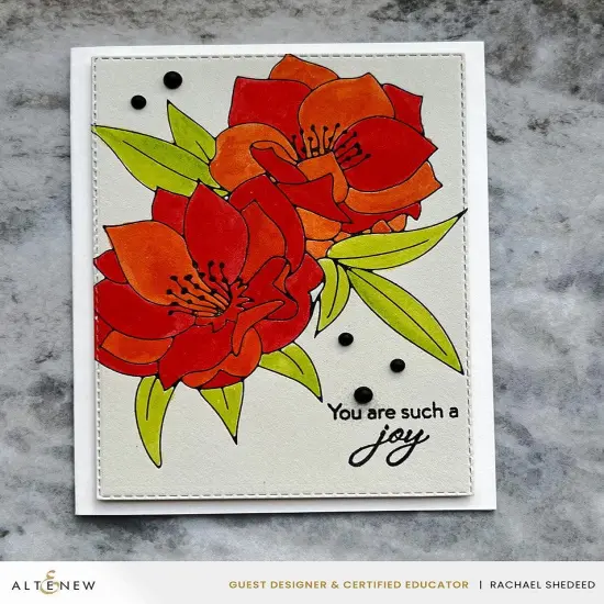 Spark Joy: Black Hellebore & Add-on Die Bundle {4}