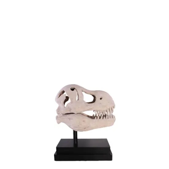 T-Rex Dinosaur Skull Life Size Statue {1}
