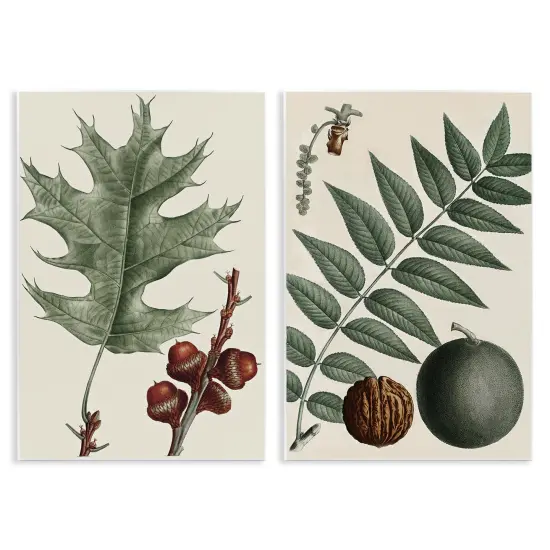 Stupell Industries Tree Leaves & Nuts 2pc Wall Plaque Art Set Design by Graffi*tee Studios {1}