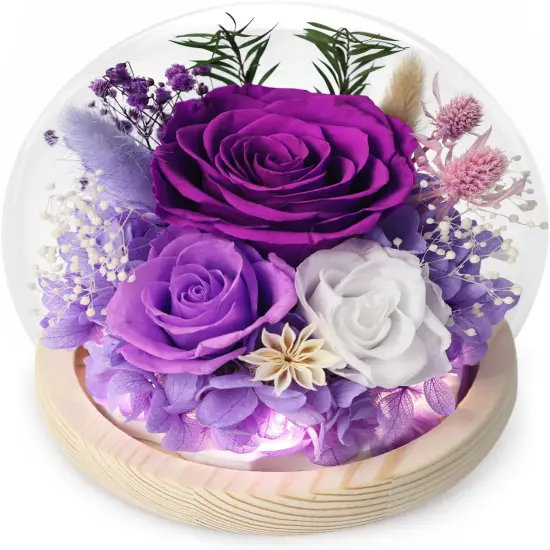 Gifts for Women Preserved Rose Forever Flower in Glass Dome Fresh Flowers for Delivery Prime Mothers Day Birthday Gifts for Mom Grandma Wife Daughter Sister Purple Roses {1}