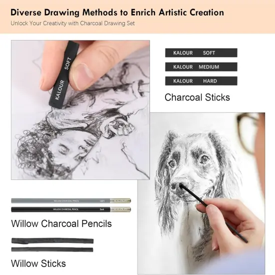 22pcs Charcoal Drawing Set, Professional Art Supplies, Black & White Charcoal {4}