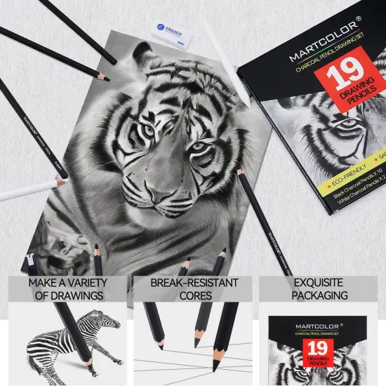 Charcoal Drawing Set, 19 Pieces, Black & White Charcoal Pencils for Drawing {3}