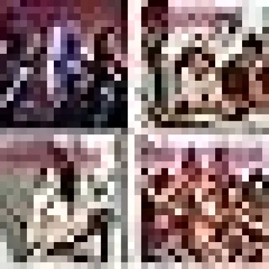 Paint Games Ladies Night Flower Girl {4}