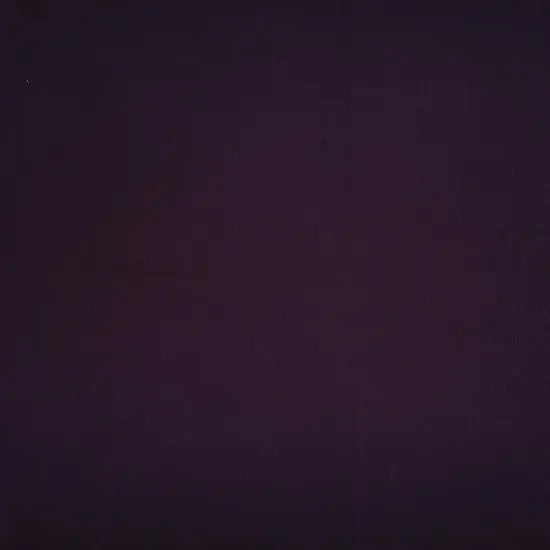 1 Yard Rayon Crepon Solid Woven Fabric Soft Textured Drapery Accent 50/51" Width EGGPLANT {1}