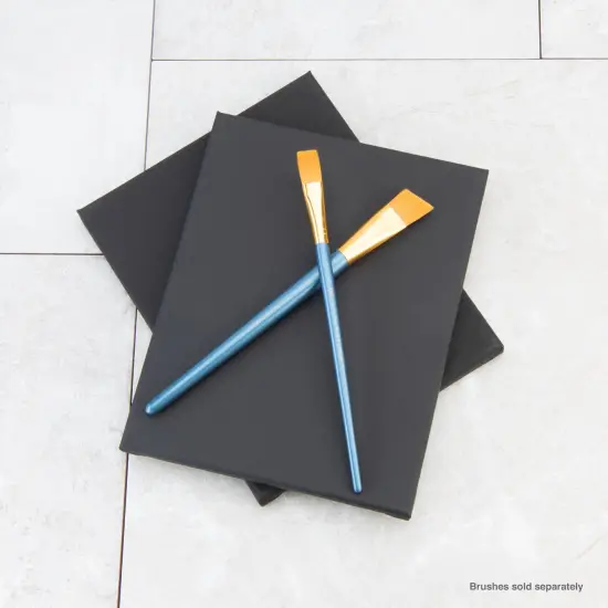 CNVB-BLK810-2 | 2pk 8 x 10 Panel Value Black {2}