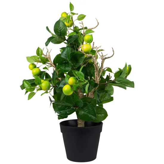 Northlight Bonsai Style Artificial Mini Apple Tree in Pot - 23" Green {5}