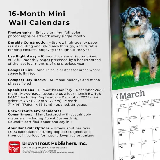 Australian Shepherds | 2026 7 x 14 Inch (Hanging) Monthly Mini Wall Calendar {6}