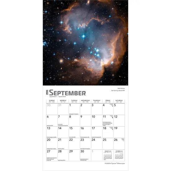 Hubble Space Telescope | 2026 7 x 14 Inch (Hanging) Monthly Mini Wall Calendar {4}