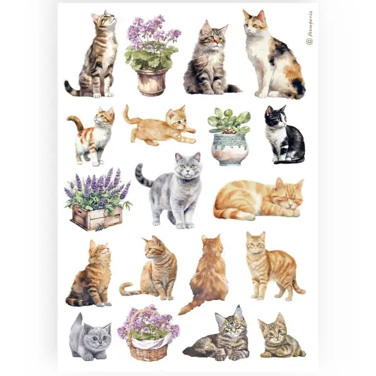 Stamperia Rice Paper Sheet A4-Cats {1}
