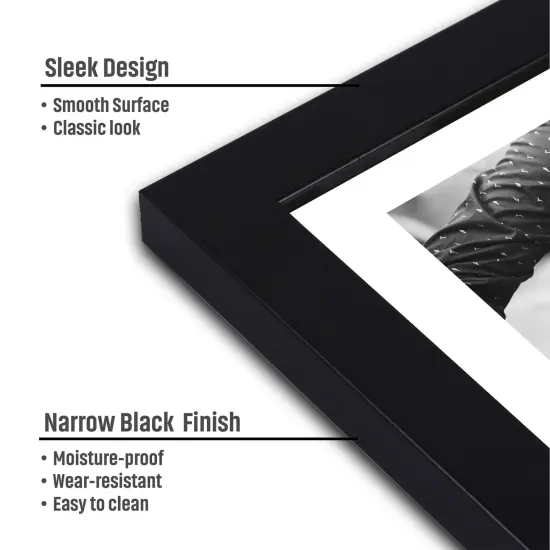 Little Birdie Frame With Canvas Panel 12"X12" 1/Pkg-Narrow Black {6}