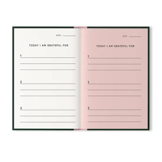 Little Birdie Gratitude A6 Journal-It's Gonna Be Ok {3}