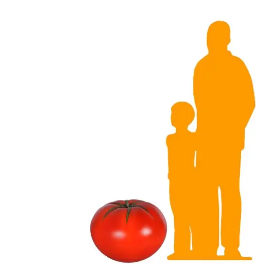 Tomato Over Sized Statue {2}