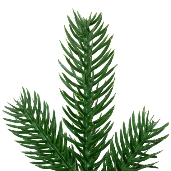 Northlight Coniferous Pine Christmas Teardrop Swag - 48" - Unlit Green {7}