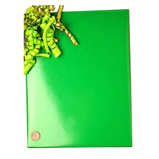 Bold Solid Wrapping Paper 30" x 417' 60 lbs for Special Occasions {2}