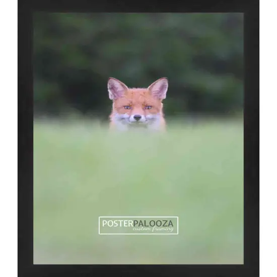 Panoramic Decor Black Picture Frame - UV Acrylic, Foam Board Backing, Hanging Hardware {3}