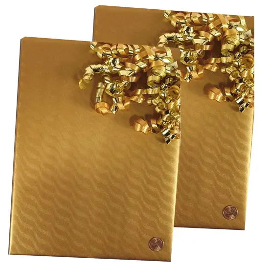 Sand Dunes Embossed Metallic Wrapping Paper 30" x 417" Roll {5}