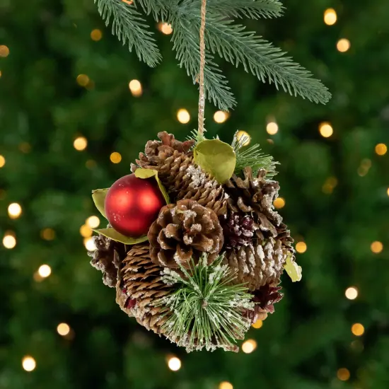 Northlight Berry and Pinecones Mixed Foliage Frosted Christmas Ball Ornament - 5.5" Brown {1}