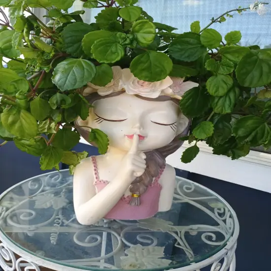 Small Fairy Succulent Plant Pot Face Planters Pots Head Flowerpot Cute Little Girl with Drainage Hole Succulent Cactus Flower Head Planters {2}