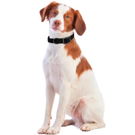 MiMu Medium Silicone Dog Collar - Black 19.5in Stylish Dog Collar with Prong Buckle {6}