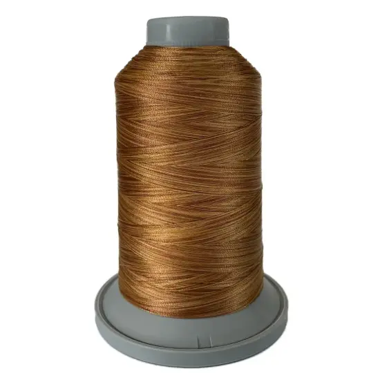 60291 Brunette Affinity Variegated Polyester Thread {1}