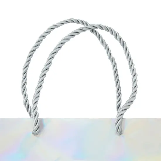 24 Pack Mini Metallic Silver Gift Bags with Rope Handles, Reusable Paper Gift Bags (6 x 5 x 2.5 In) {4}