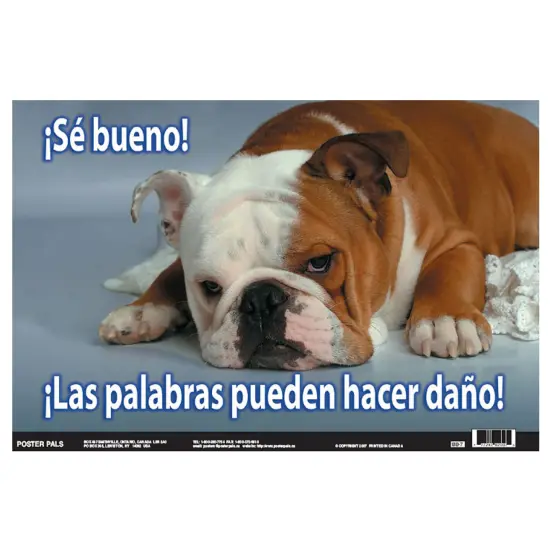 Poster Pals Spanish Educational and Language Teaching Fun Photo Posters,Bilingual Charts, Classroom Decorations, 4 Poster Set {4}
