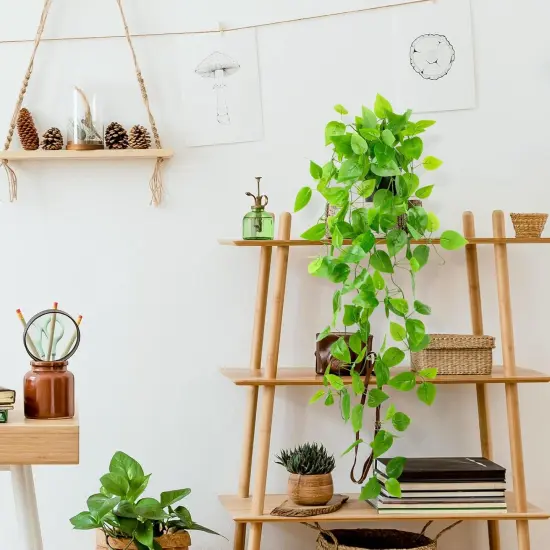 Faux Hanging Pothos with Ivy Vine - Pothos {4}