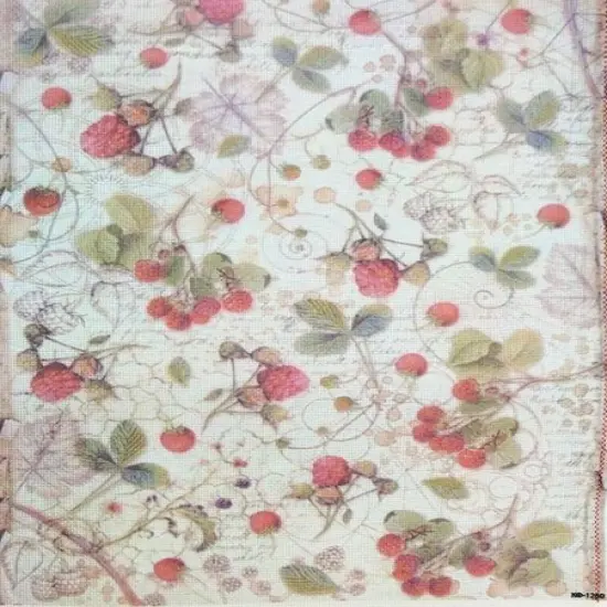 Wild Berry Vine Designer Printed AIDA Fabric. Canvas for embroidery with an applied backgroundKF-1260A {1}