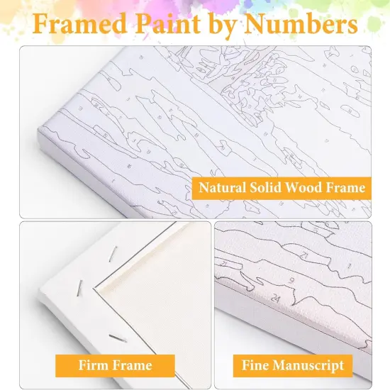 Framed Paint by Numbers Kit for Adults Beginner Bookshelf,10 X 10 Inch {3}