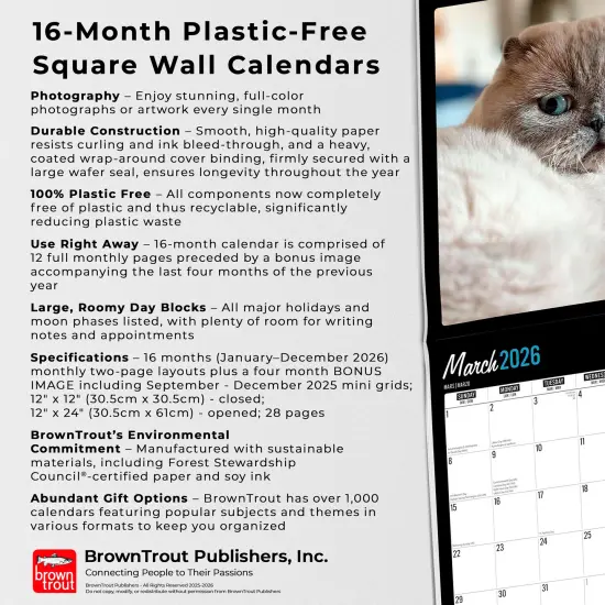Cat Selfies | 2026 12 x 24 Inch (Hanging) Monthly Square Wall Calendar | Plastic-Free {6}