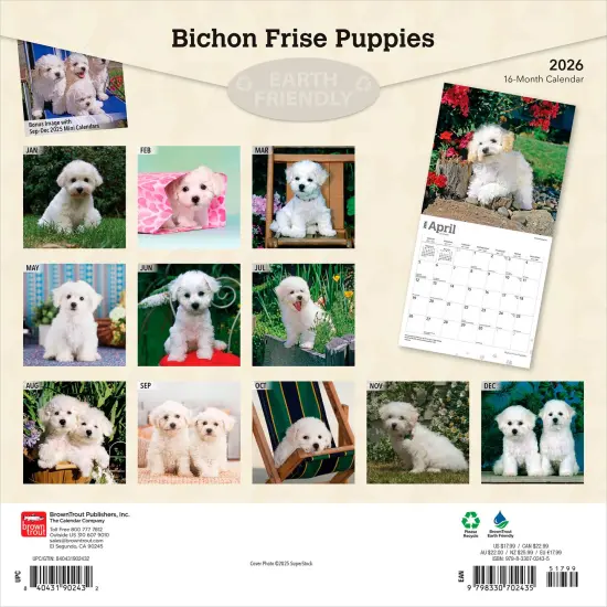 Bichon Frise Puppies | 2026 12 x 24 Inch (Hanging) Monthly Square Wall Calendar | Plastic-Free {2}