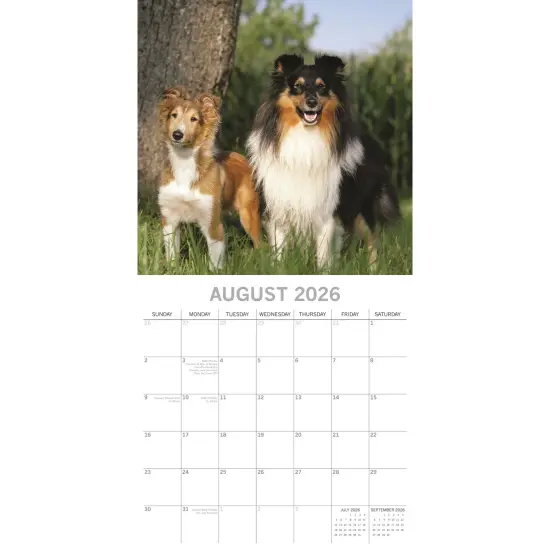 The Gifted Stationary 2026 Square Wall Calendar, Dogs & Puppies, 16-Month Animals Theme Hanging Calendar with 180 Reminder Stickers, Month Planner for Home, or Creative Spaces, 12x12 In Multicolor {3}