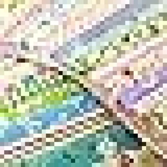 Cotton Precut Quilt Sewing Floral Fabrics for Craft DIY {4}