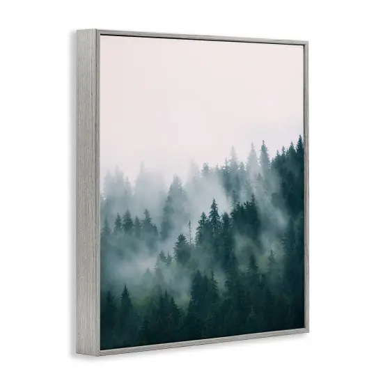 Stupell Industries Misty Forest Trees Framed Giclee Art Gray Frame {3}
