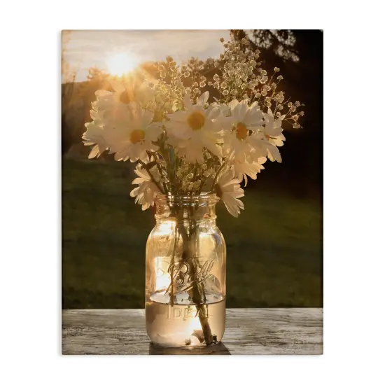 Stupell Industries Warm Meadow Daisies in Jar Canvas Wall Art {1}