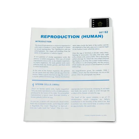 Microslide, Reproduction, 35mm {1}