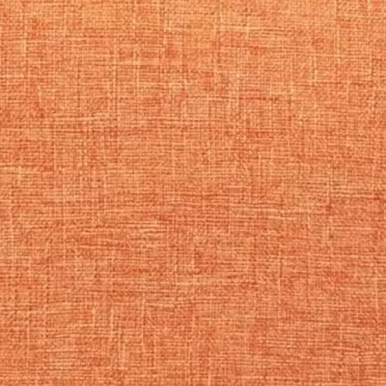 Set of 2 Orange Fall Throw Pillow Covers 20x20 {4}