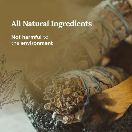 Magnificent 101 Long Lasting Affirmation Tin Candle with Sage, Cedar & Palo Santo Scented | 6 Oz - 35 Hour Burn | Made of Soy Wax for Energy Cleansing, Manifestation | Thank You Universe Multicolor {3}