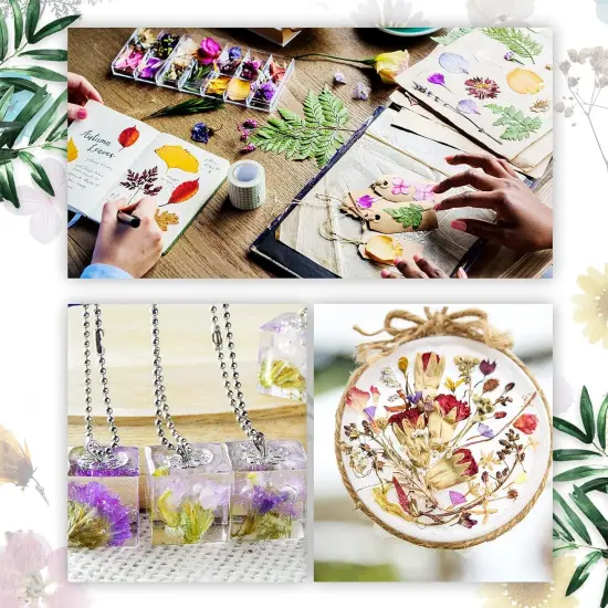 200 Pcs Natural Dried Pressed Flowers and Leaves Resin {2}