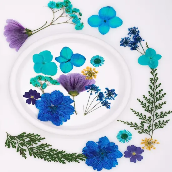 30Pcs Dried Pressed Flowers for Resin DIY {2}