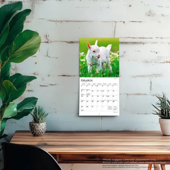 Baby Goats | 2026 7 x 14 Inch (Hanging) Monthly Mini Wall Calendar {5}