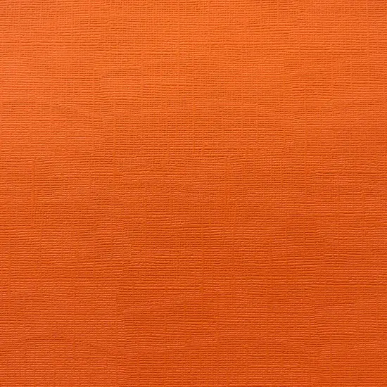 GOLDFISH - Textured 12x12 Cardstock - Encore Paper {1}