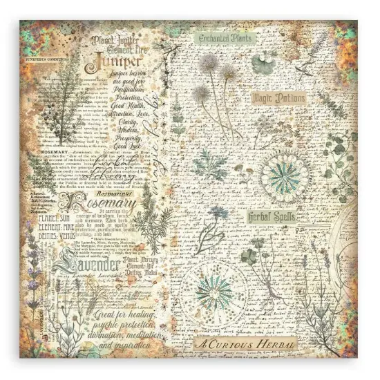 Stamperia Single-Sided Paper Pad 8"X8" 22/Pkg-Fortune {7}