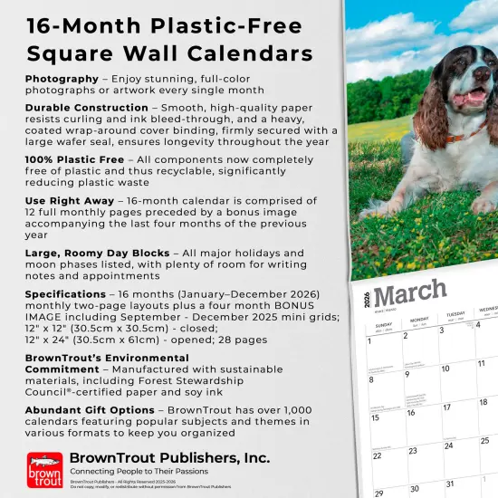 English Springer Spaniels | 2026 12 x 24 Inch (Hanging) Monthly Square Wall Calendar | Plastic-Free {6}